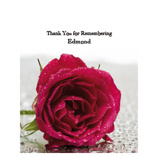 Memoriam-Stationery-Set-404—Red-Rose-with-Dew-Drops
