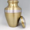 DF1161 Medium Gold & Silver Urn