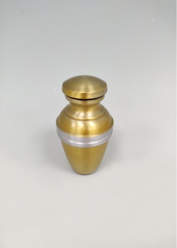 DF1161 Small Gold & Silver Urn
